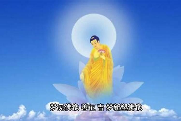 属羊人今年四月运势