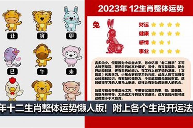 2023年12生肖年龄对照表