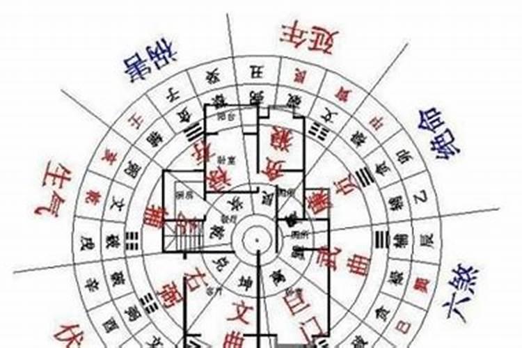 属狗8月份的运势2021