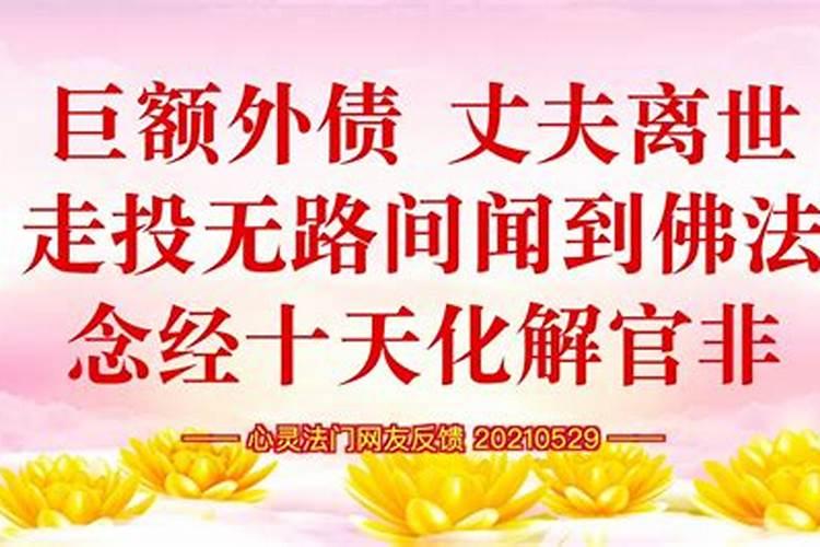 属猪人阳历12月份的运势