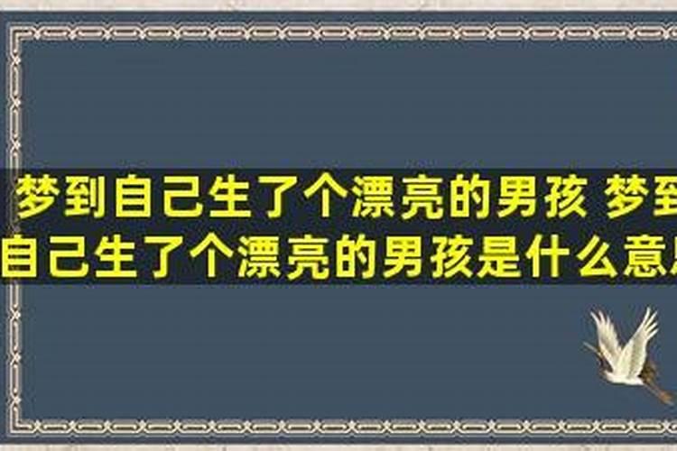 梦见自己生了一个漂亮的男孩好不好