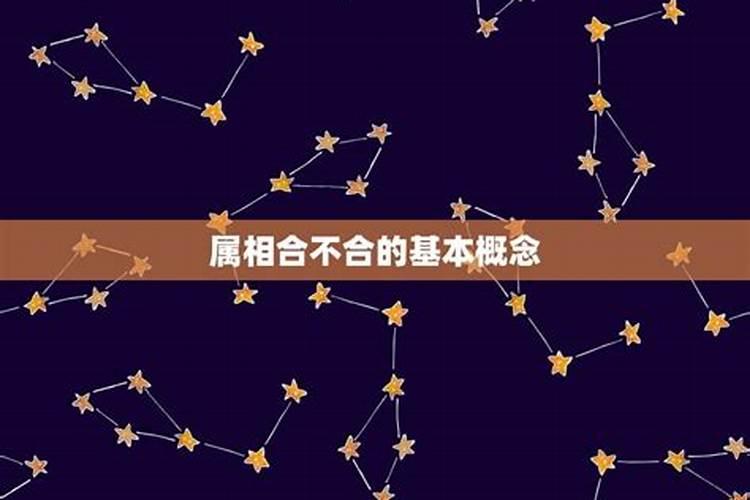 今年属狗的犯太岁吗2023