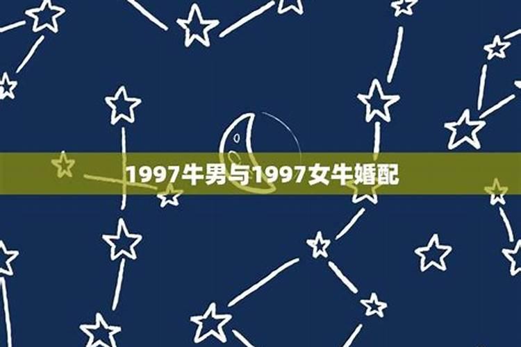 2023年属鸡人下半年运势