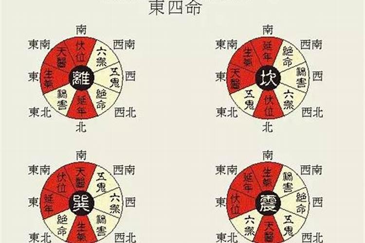 2023属牛的阴历5月运程如何