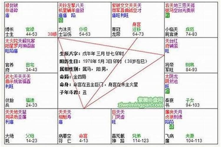 属猪2021年犯太岁