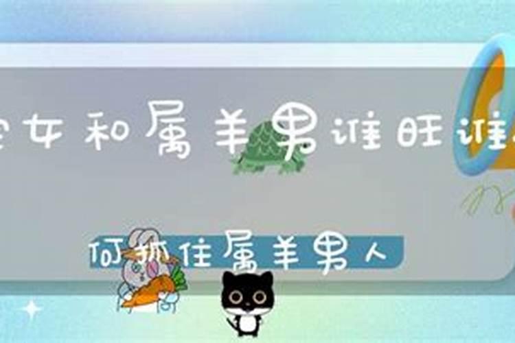 属蛇男金牛座感情运势