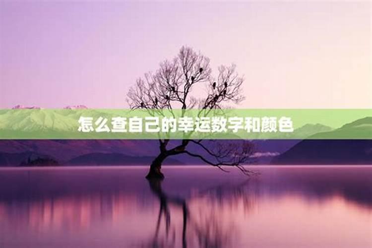 怎样才能知道自己的幸运数字和颜色