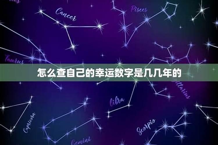 个人的幸运数字