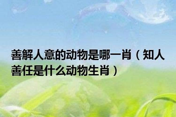 两相依的动物是什么生肖?