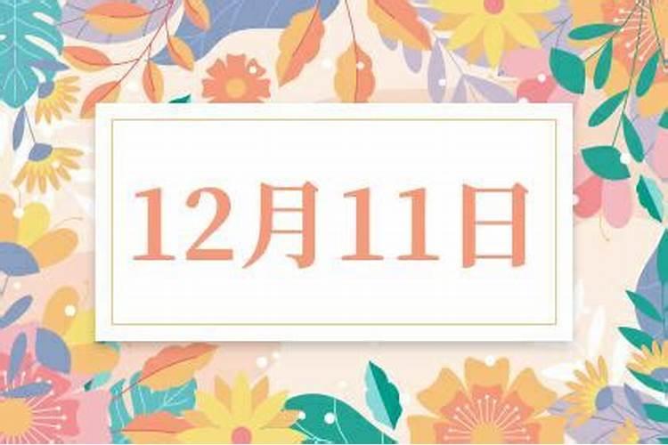 农历12月11是什么生肖