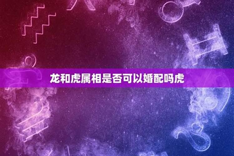 算命里的动婚是什么意思