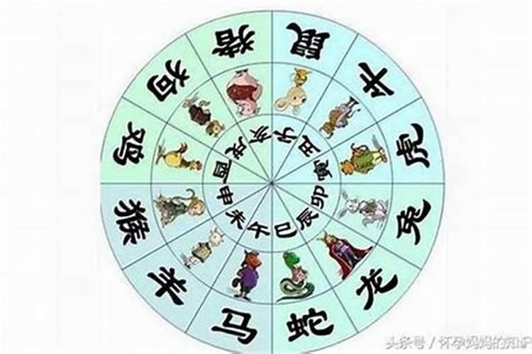 属兔的今年的运气怎么样