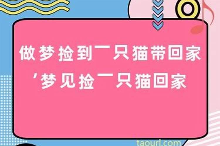 梦到和异性在一起什么意思周公解梦