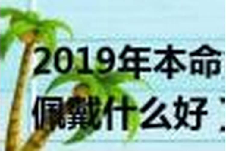 属猪的今年多大岁数