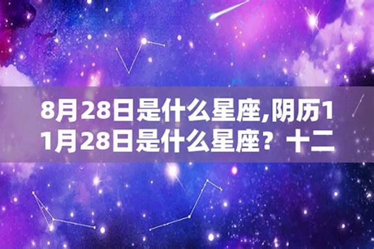 公历11.28是什么星座