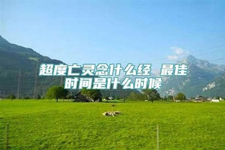 属牛的2023运势怎么样