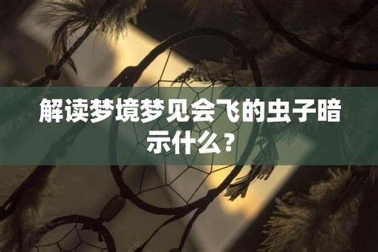 梦到奇怪的虫子预示着什么