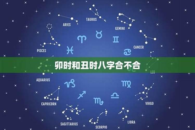 星座毎曰运势