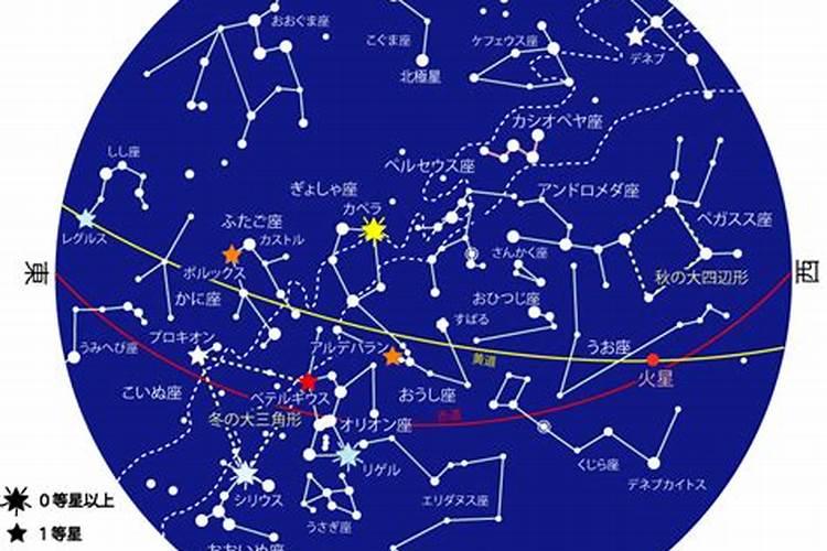 1月28什么星座