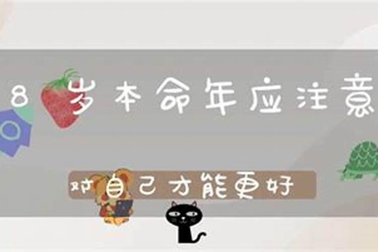 重阳节节日的风俗有哪些