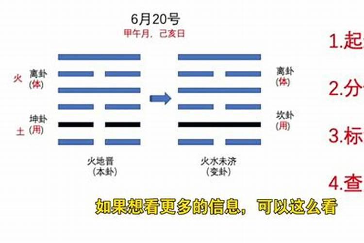 生肖狗的命运