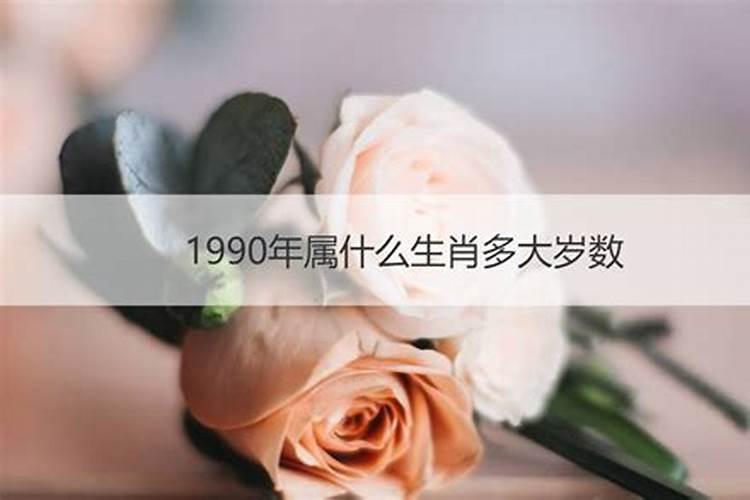 1990年属什么生肖年龄多少