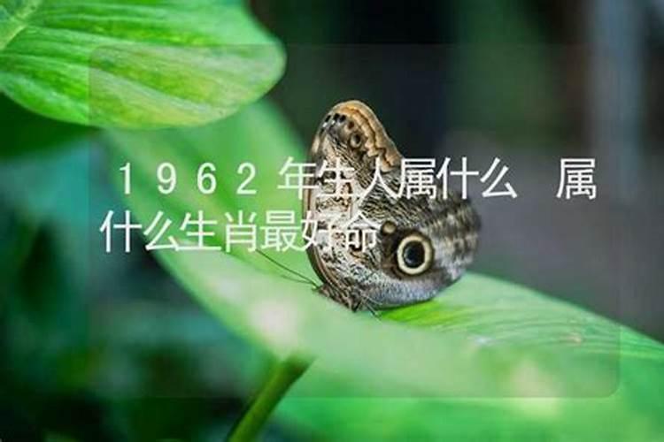 请问1962年属什么