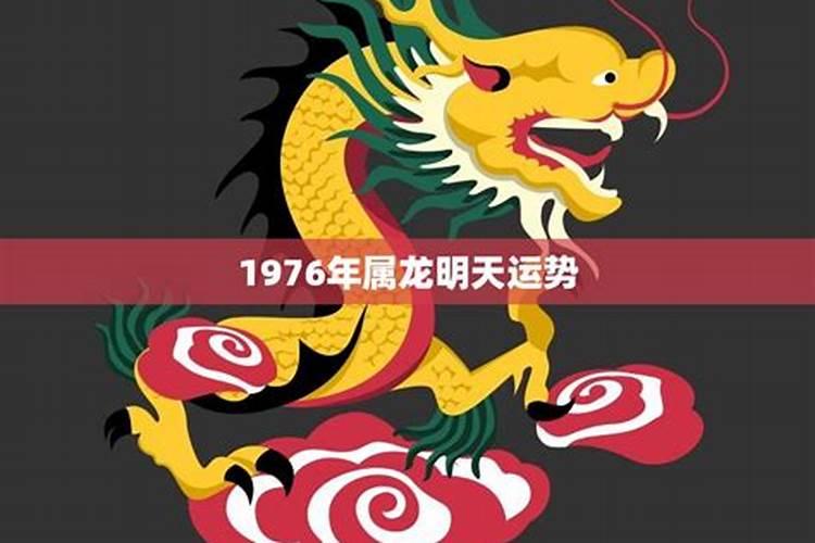 2023年本命年的龙怎么样