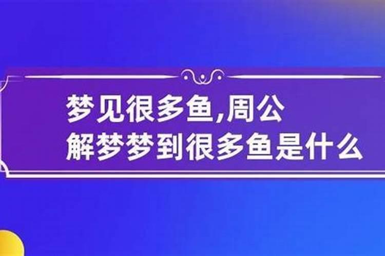 梦到很多鱼死了是什么意思