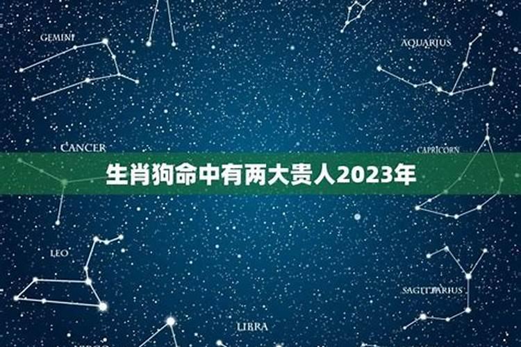 2023年哪些生肖好