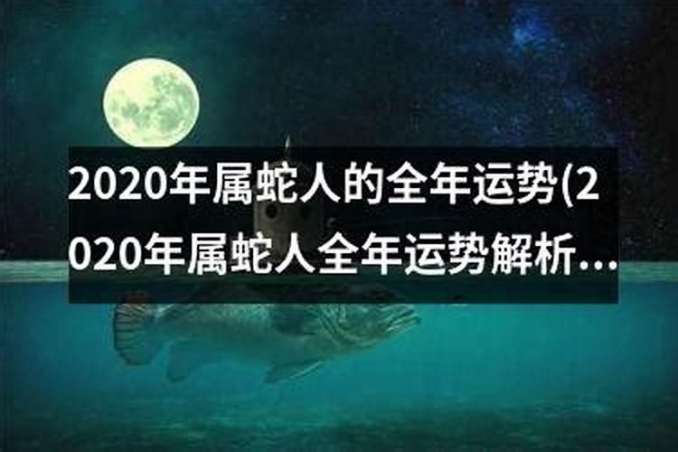 96年出生在2O2O年的运势