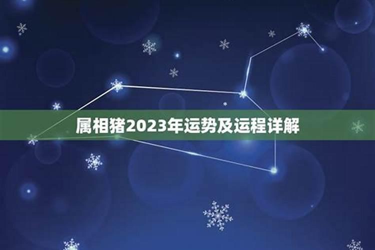 2023年属相