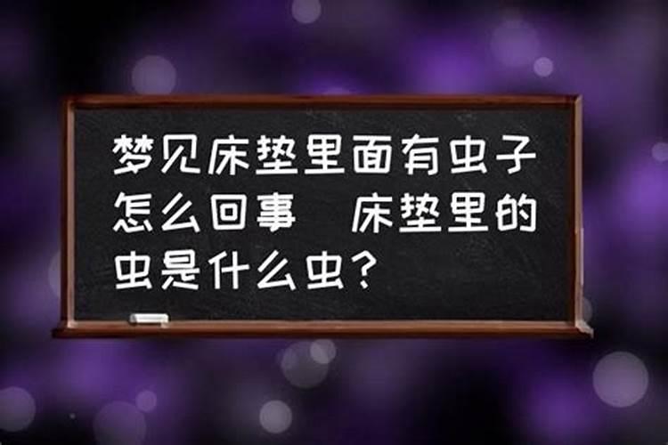 做梦梦见大胖小子是什么意思