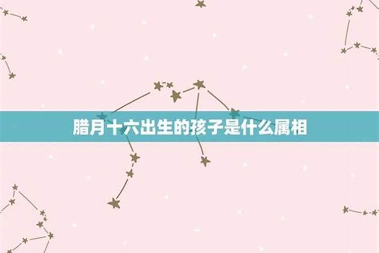 腊月初十五行属什么