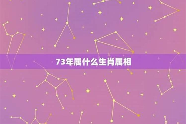 73年属什么的星座