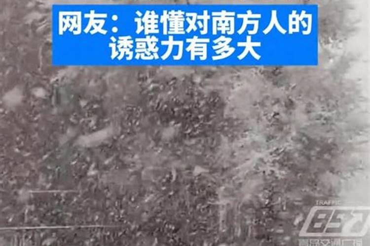 梦见下特大暴雪穿着短袖也不冷