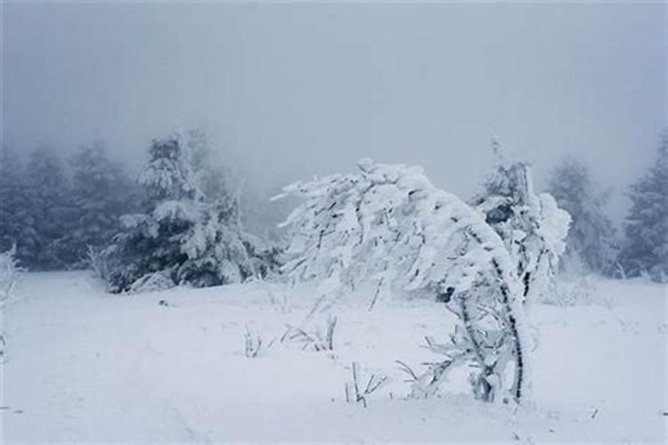 梦见下特大暴雪穿着短袖也不冷