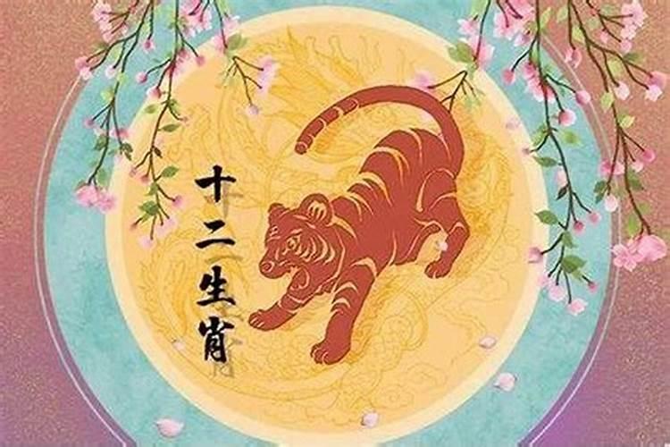 1985属猪人2023年运程