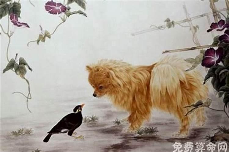 梦见黑猫什么征兆