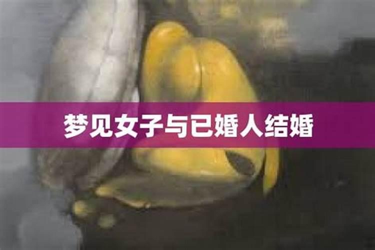 属狗今年的运程9月份运势如何