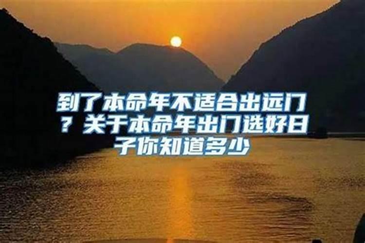 属猪的运程明金2023年怎么样