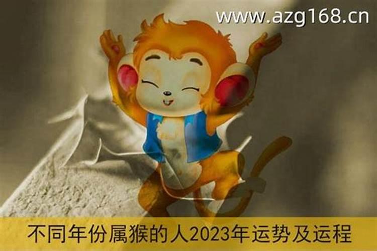 80出生属猴2023年运势