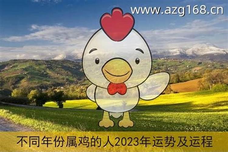 2023年狗年属鸡人的运程如何