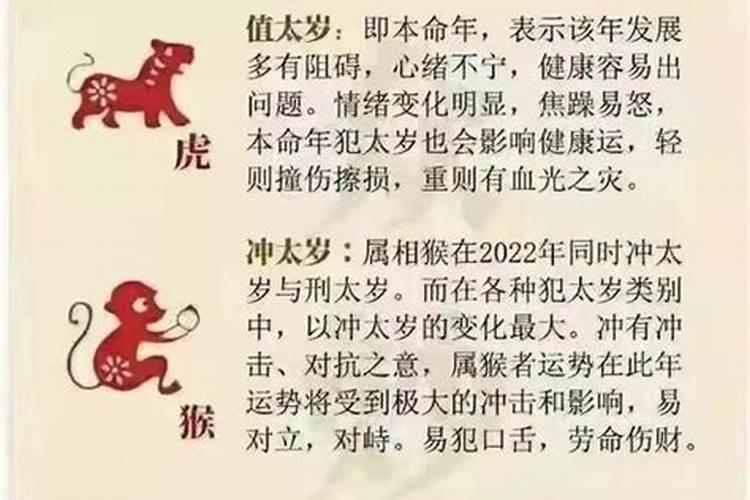 梦见捡柴是什么意思啊