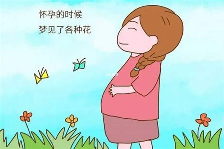 孕妇梦见动物是生男孩女孩