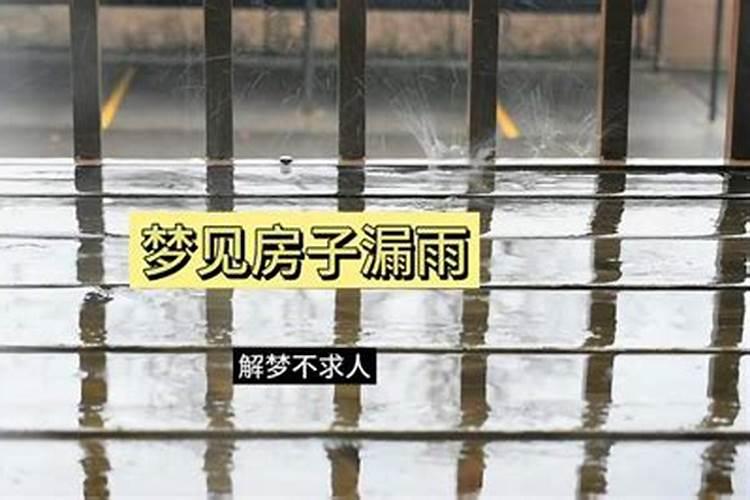 梦到房子漏雨是什么预兆