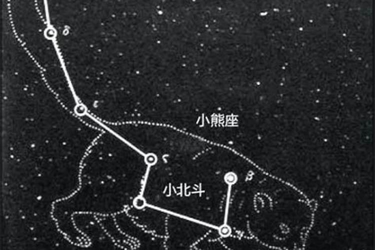 北极星在哪个星座