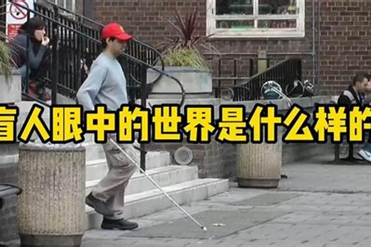 盲人做梦能看到东西吗