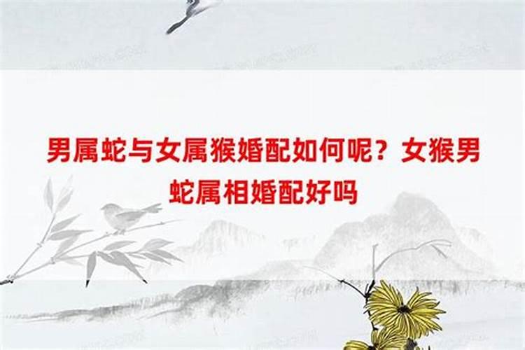 属羊人今年运势2022年每月运势