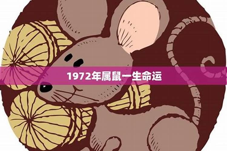 1988年属兔人2021年运势及运程